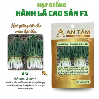 COMBO HẠT GIỐNG RAU GIA VỊ VIỆT 🌿 Hành – Hẹ – Húng Quế – Kinh Giới – Ngò Gai – Tía Tô túi zíp