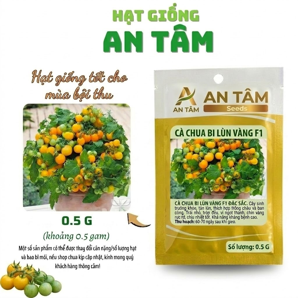 Hạt giống Cà chua lùn vàng (Yellow Canary/Yellow Dwarf