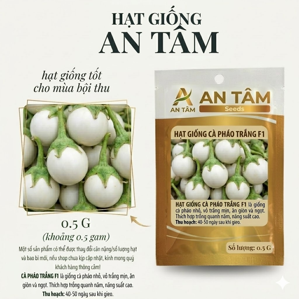 Hạt Giống Cà Pháo Trắng Cao Sản – Quả Tròn Đẹp, Giòn Ngon, Năng Suất Vượt Trội