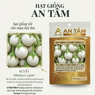 Hạt Giống Cà Pháo trắng, cà pháo xanh, cà tím tròn – Cà Tím F1 Trái To, Sai Quả – Ăn Giòn, Dễ Trồng túi zíp