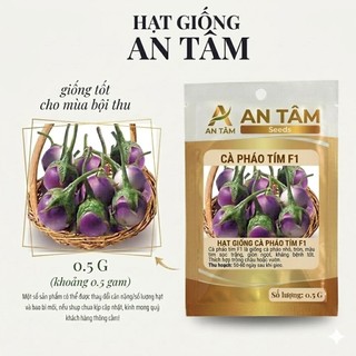 Hạt Giống Cà Pháo trắng, cà pháo xanh, cà tím tròn – Cà Tím F1 Trái To, Sai Quả – Ăn Giòn, Dễ Trồng túi zíp