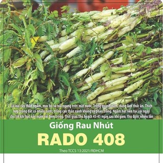 Hạt giống Rau nhút gói 1gr~20 hạt - Rau nhút ưa nước, có thể trồng cạn, sinh trưởng khỏe, trồng quanh năm