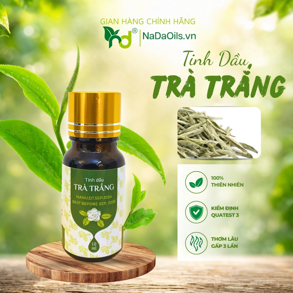 [BEST SALE] Tinh Dầu Trà Trắng Nada Oils - Thư Giãn, Ngủ Ngon, Hương Thơm Cao Cấp, Nguyên Chất