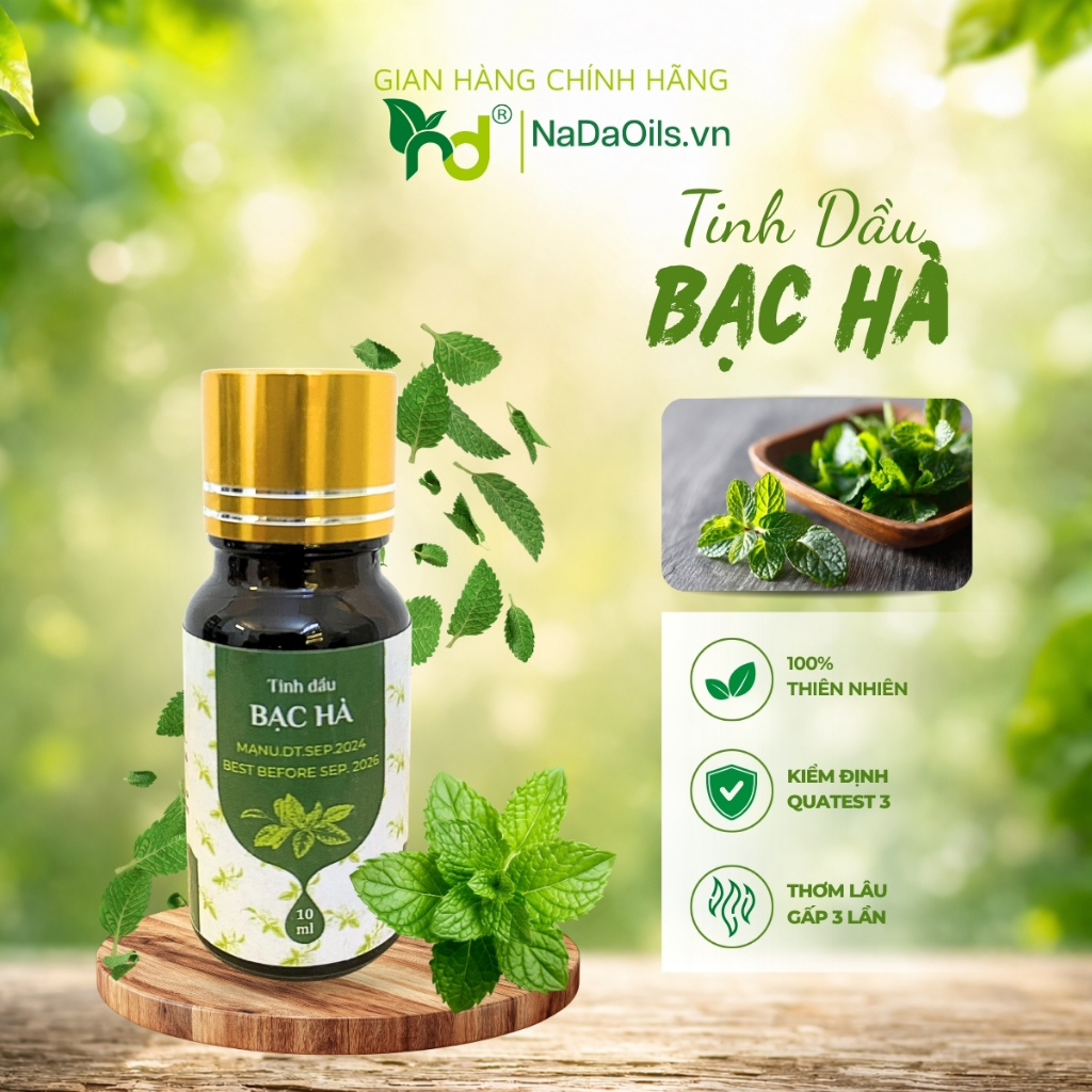[BEST SALE] Tinh Dầu Bạc Hà Nguyên Chất Nada Oils - Tỉnh Táo, Giảm Đau Đầu, Thơm Mát