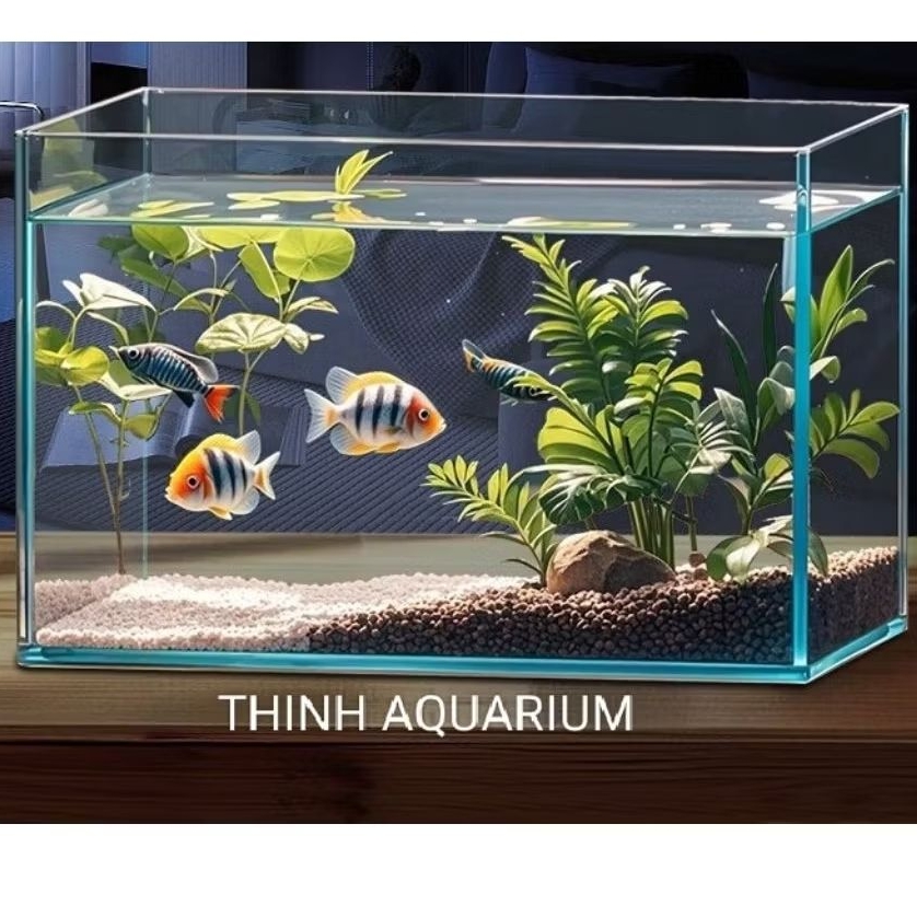 Hồ kính Siêu trong 50x30x30 không viền (Mài vi tính) kính 5ly