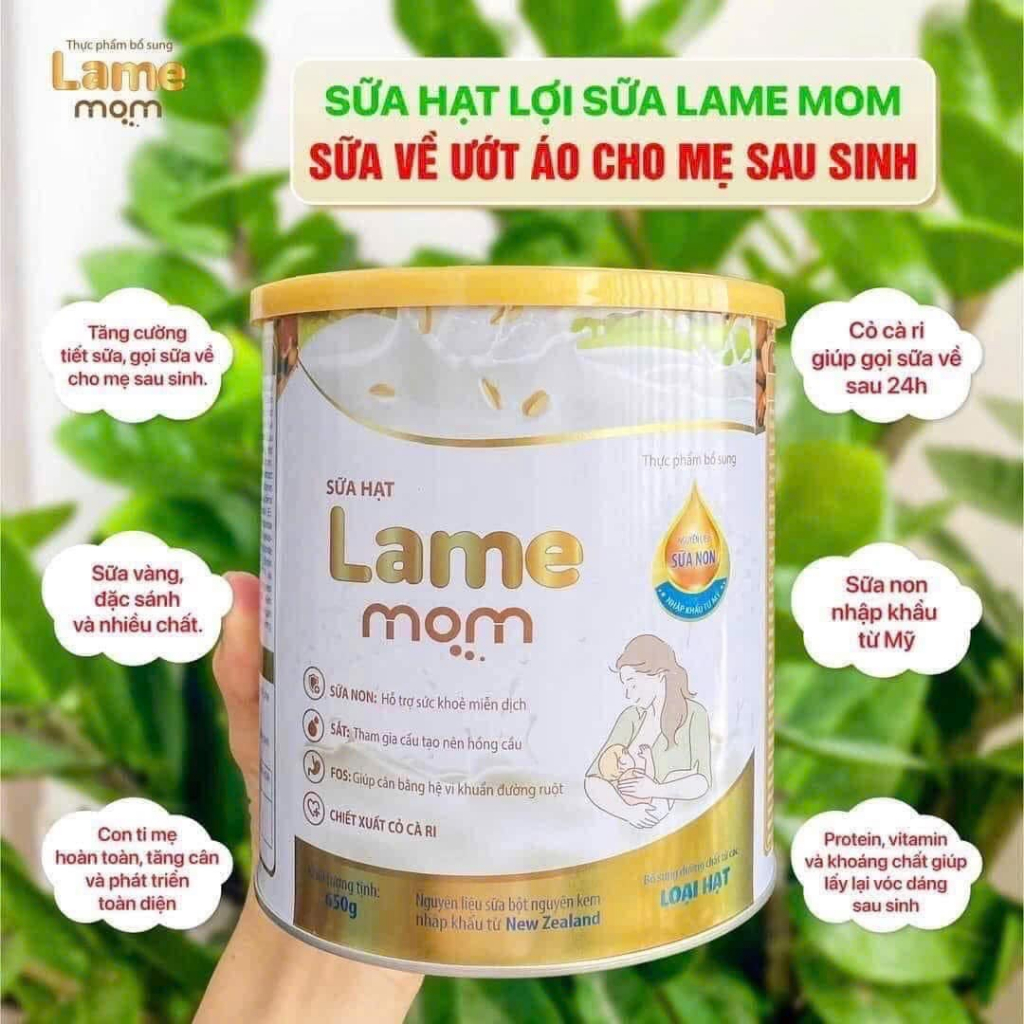Sữa hạt lợi sữa Lame Mom 650g