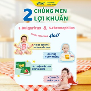 Combo Sữa Chua HOFF mix vị bổ sung Chuối/Dâu Organic bổ sung dưỡng chất cho bé 2 Lốc (12 hộp x 55g)