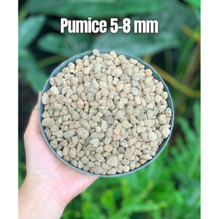 Túi 3kg đá bọt Pumice (đủ size)