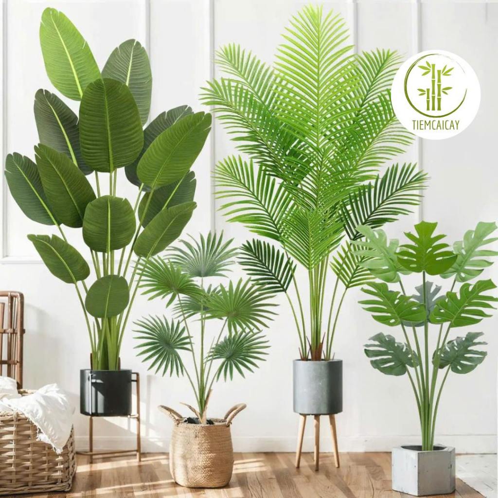 Cây Giả Trang Trí Cao Cấp Cao 65-85-120cm, Cây Trầu Bà, Cau, Chuối, Cọ, Khoai Trang Trí Decor Nhà Cử