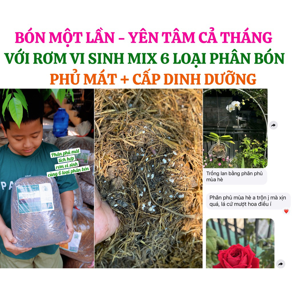 PHÂN PHỦ MÙA HÈ