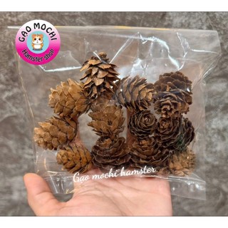 Quả thông khô trang trí lồng, mài răng cho hamster