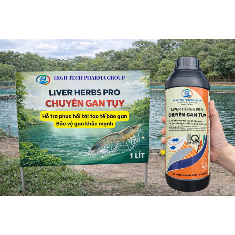 LIVER HERBS PRO - ĐẶC BIỆT CHUYÊN GAN - BỔ TRỢ GAN TÔM - HIGH TECH PHARMA