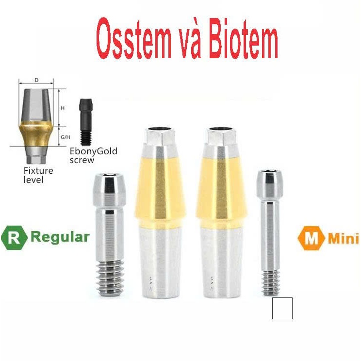 Abutment Cho Osstem/Hiossen/Biotem R
