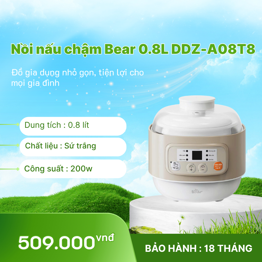 🍲 Nồi nấu chậm Bear 0.8L DDZ-A08T8 – Nhuyễn mềm, giữ trọn dưỡng chất