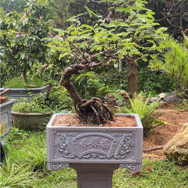 Khuôn đúc chậu vuông dạng bể giả đá cổ 60x60x28cm nhựa ABS hàng Việt