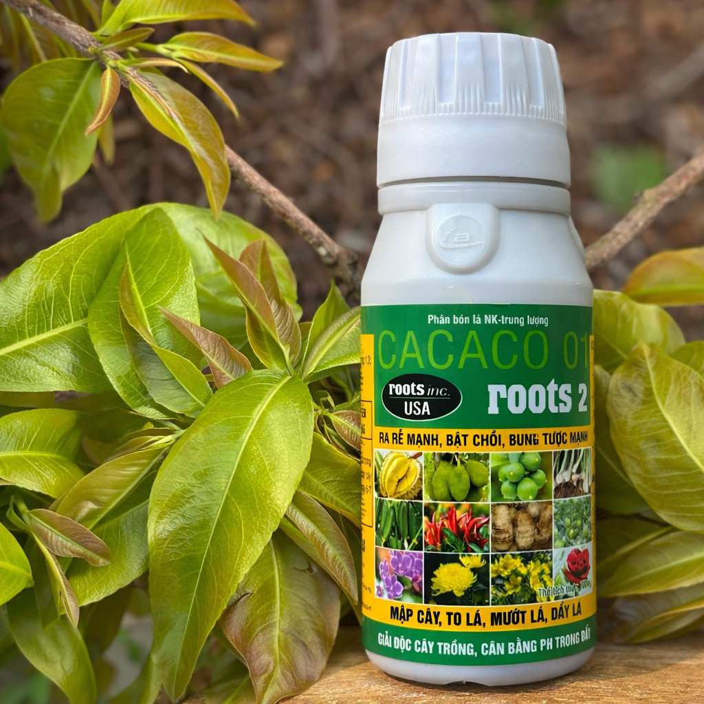 ROOT 2 usa RA RỂ MẠNH, MẬP CHỒI, BUNG TƯỢC, GIẢI ĐỘC GÂY TRỒNG, CÂN BẰNG PH TRONG ĐẤT chai 100ml