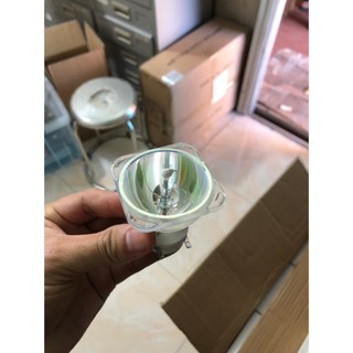 Bóng Beam 295W 7R