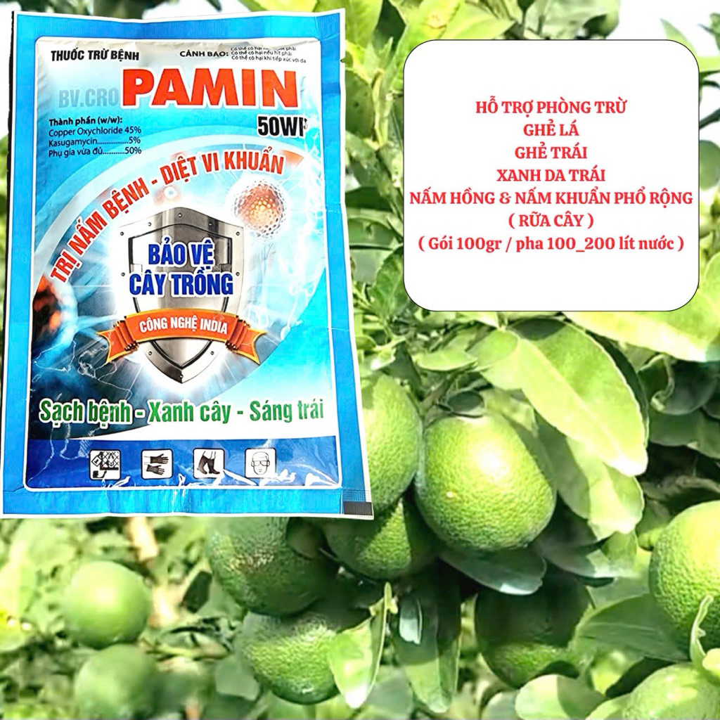 PAMIN - GIÚP SẠCH BỆNH và KHUẨN HẠI CÂY, ghẻ trái, ghẻ lá, n.ấm hồng và chuyên rữa cây phòng trừ bện