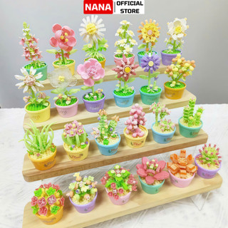 COMBO Bộ Lắp Ráp Mô Hình Giải Trí MINI 3D Chậu Hoa Chậu Cây Lá Đáng Yêu