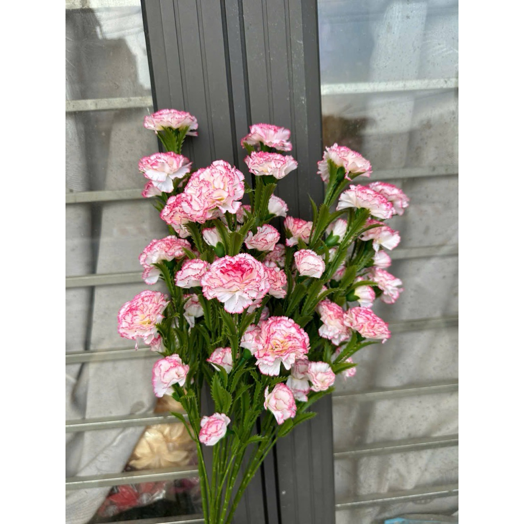 Hoa phăng - hoa nhập cao cấp