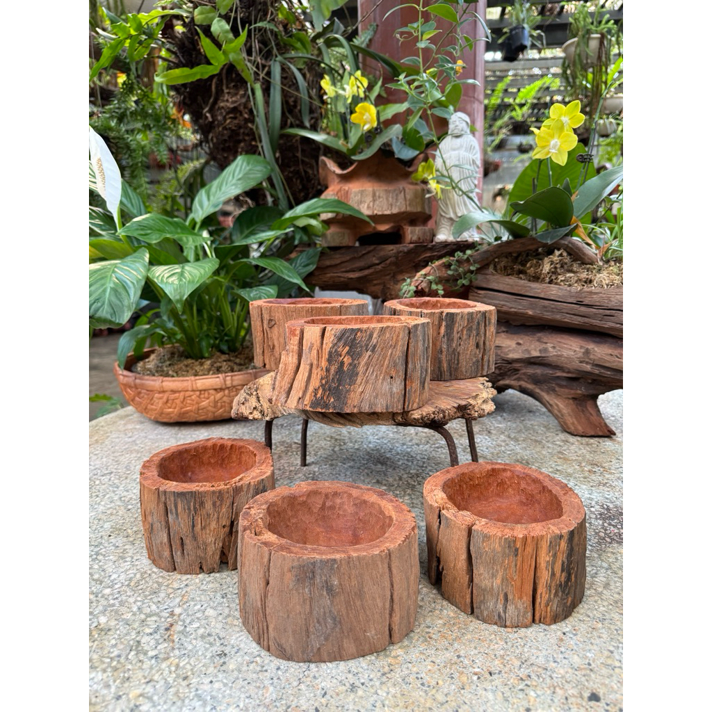 CG16 - Chậu gỗ Không đục lỗ