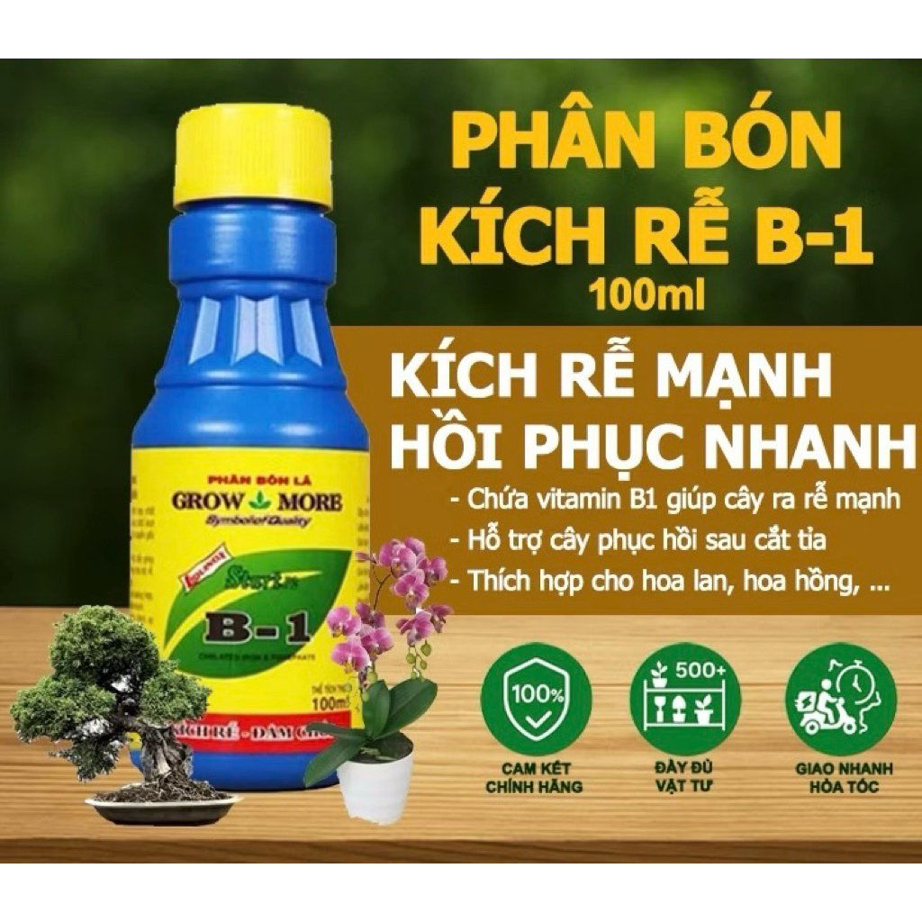 Kích rễ B1 lọ 100ml