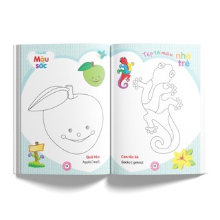 Sách: Tập Tô Màu Nhà Trẻ + Bút Sáp Màu - Jumbo Crayons - 24 Màu (DK 3304 - 24)