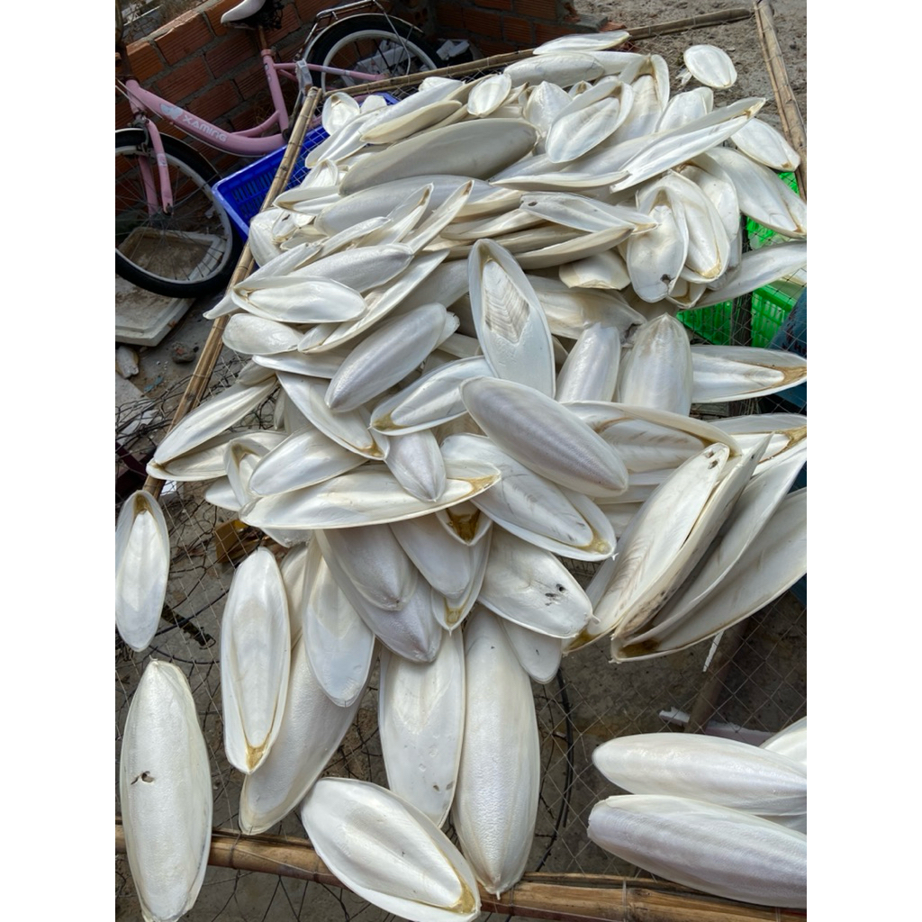 1kg Nang Mực Cao Cấp Bổ Xung Canxi Tự Nhiên Cho Chim, Bò Sát