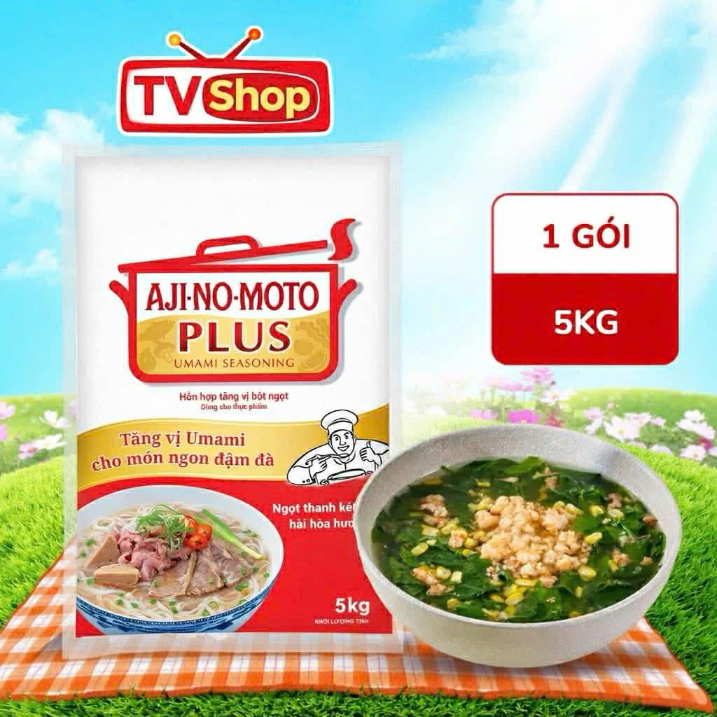 [CHÍNH HÃNG] Bột ngọt (Mỳ chính) AJINOMOTO PLUS 5kg