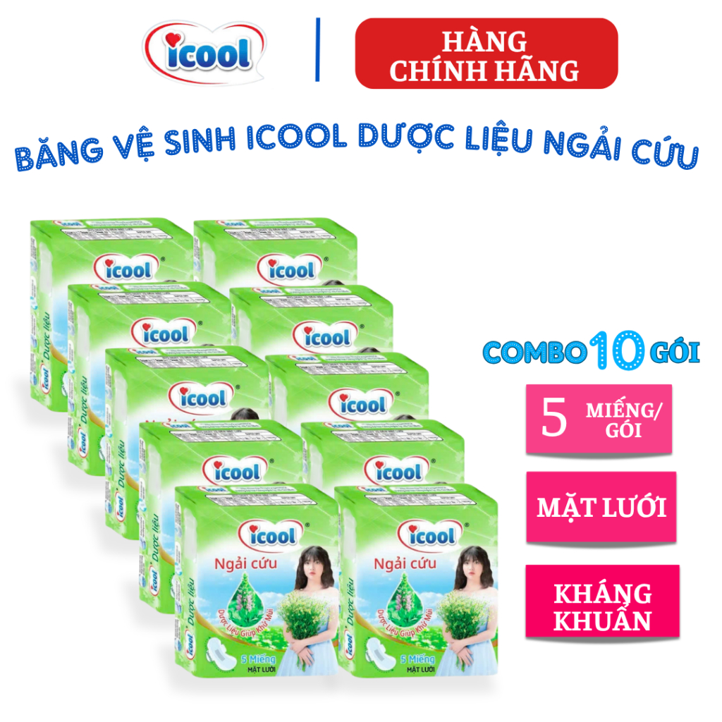Băng Vệ Sinh Icool Dược Liệu Ngải Cứu Mặt Lưới (5 Miếng, Dài 24cm, Có Cánh)
