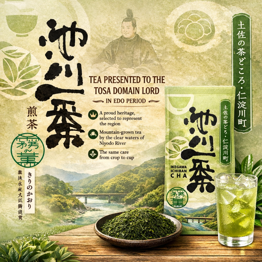 ⭐Special Price / Sencha Nhật Kiri no Kaori  | Trà dâng lãnh chúa Tosa | Trà đạt giải MAFF