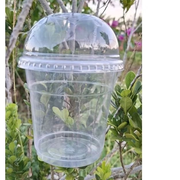 Ly PP lùn 500ml in theo yêu cầu