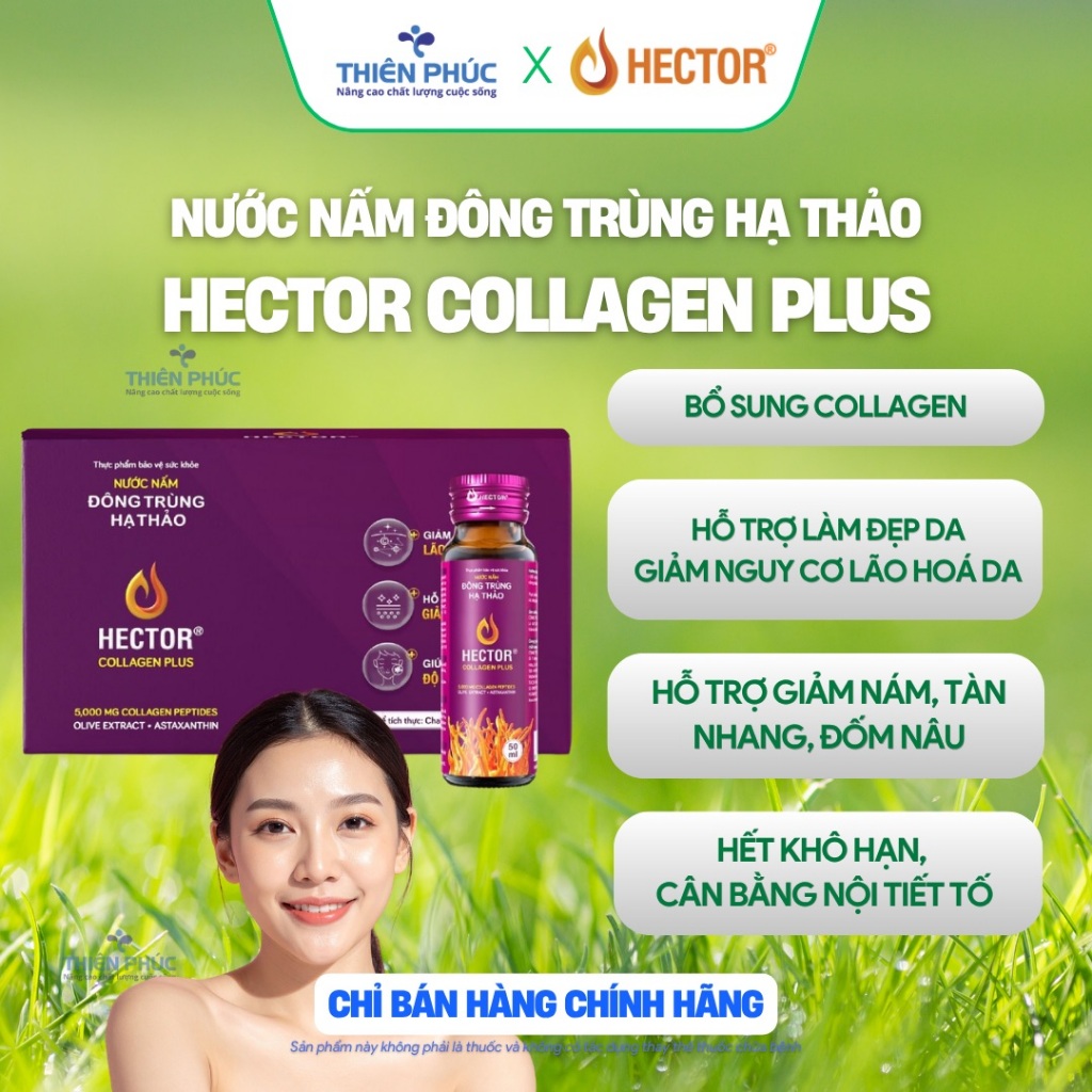 Nước nấm đông trùng hạ thảo Hector Collagen Plus (10 chai)