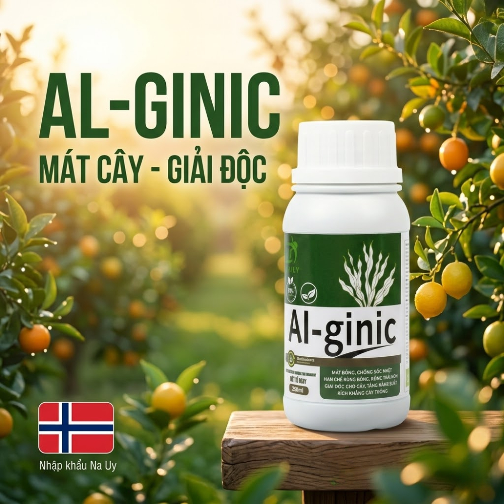 Chiết xuất Tảo biển Al-ginic - Giải độc, mát cây, giảm stress sinh lý cho cây trồng