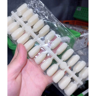 Sổ móng mẫu 120 màu + móng bẻ gài sổ