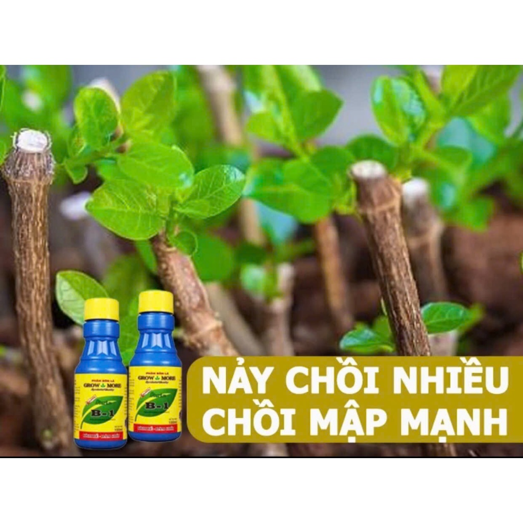 Phân bón lá vitamin b1 gromore .vitamin  b1 Mỹ ra rễ đâm chồi xanh lá mượt  lá chai 100ml chai 235ml