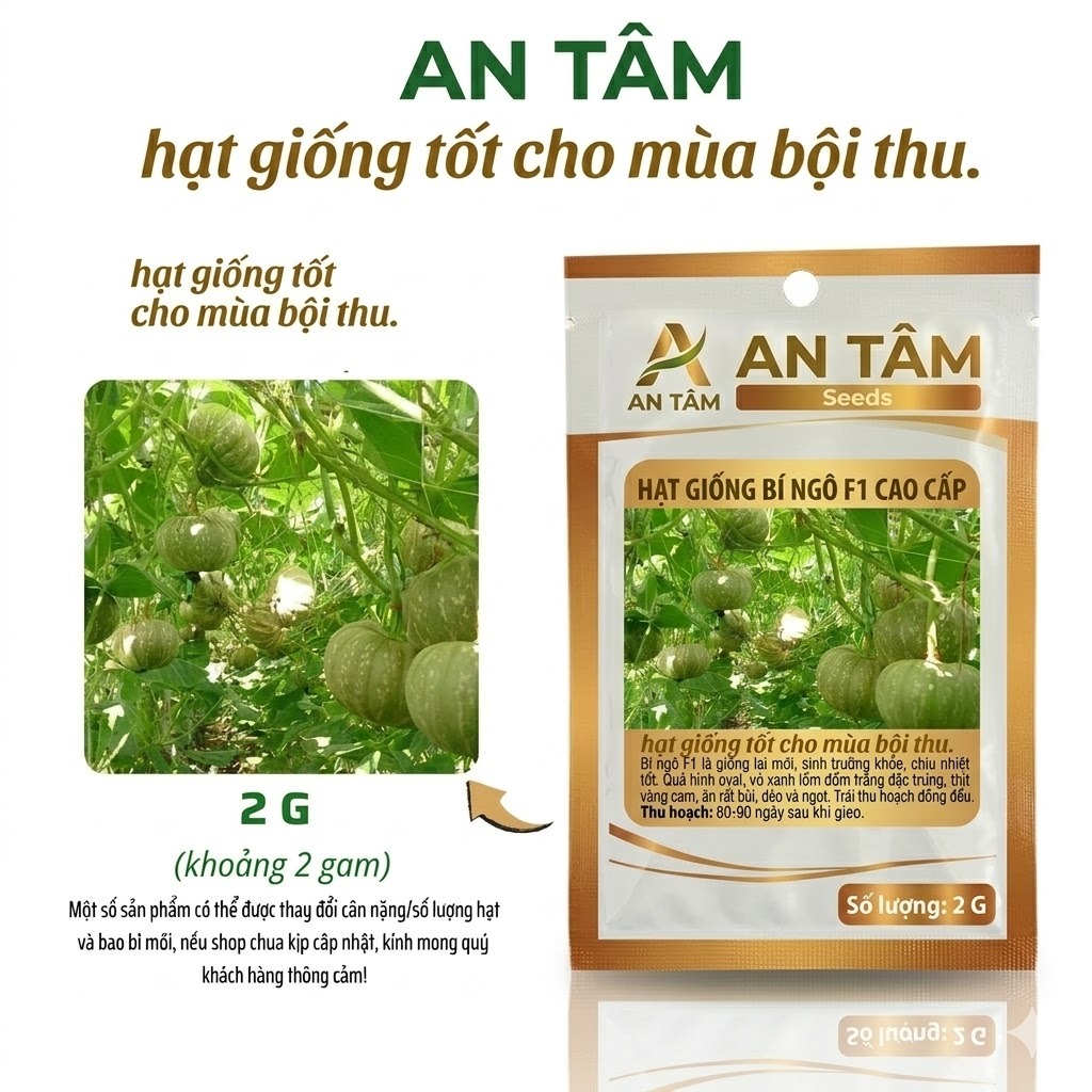 Hạt Giống Bí Ngô (Bí Đỏ) an tâm