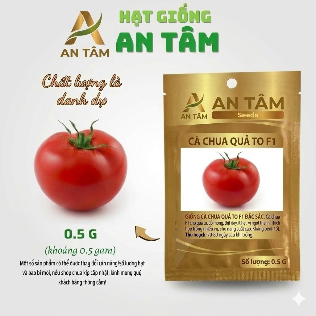 Hạt Giống Cà Chua Ngọt Đại | Quả To – Ngọt – Sai Quả