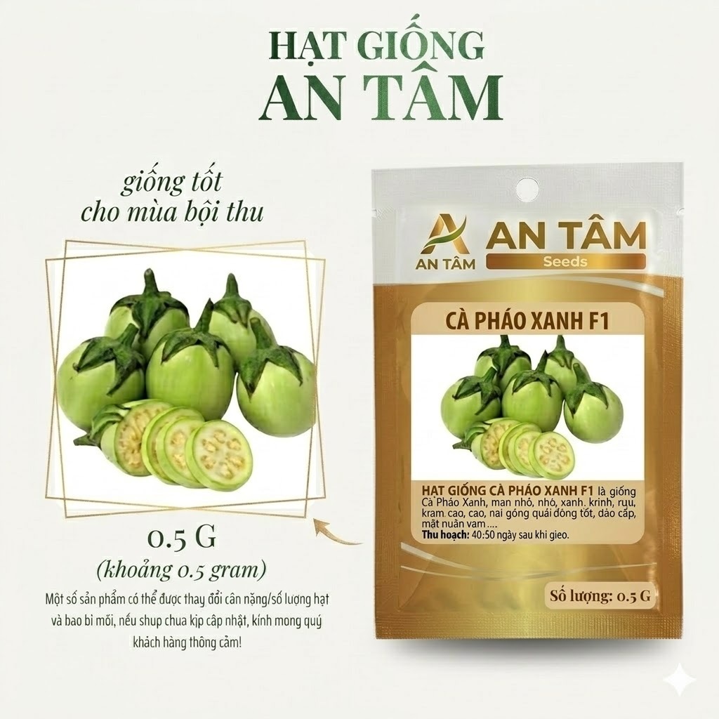 Hạt Giống Cà Pháo Xanh  – Quả Béo Tròn, Giòn Ngọt, Dễ Trồng