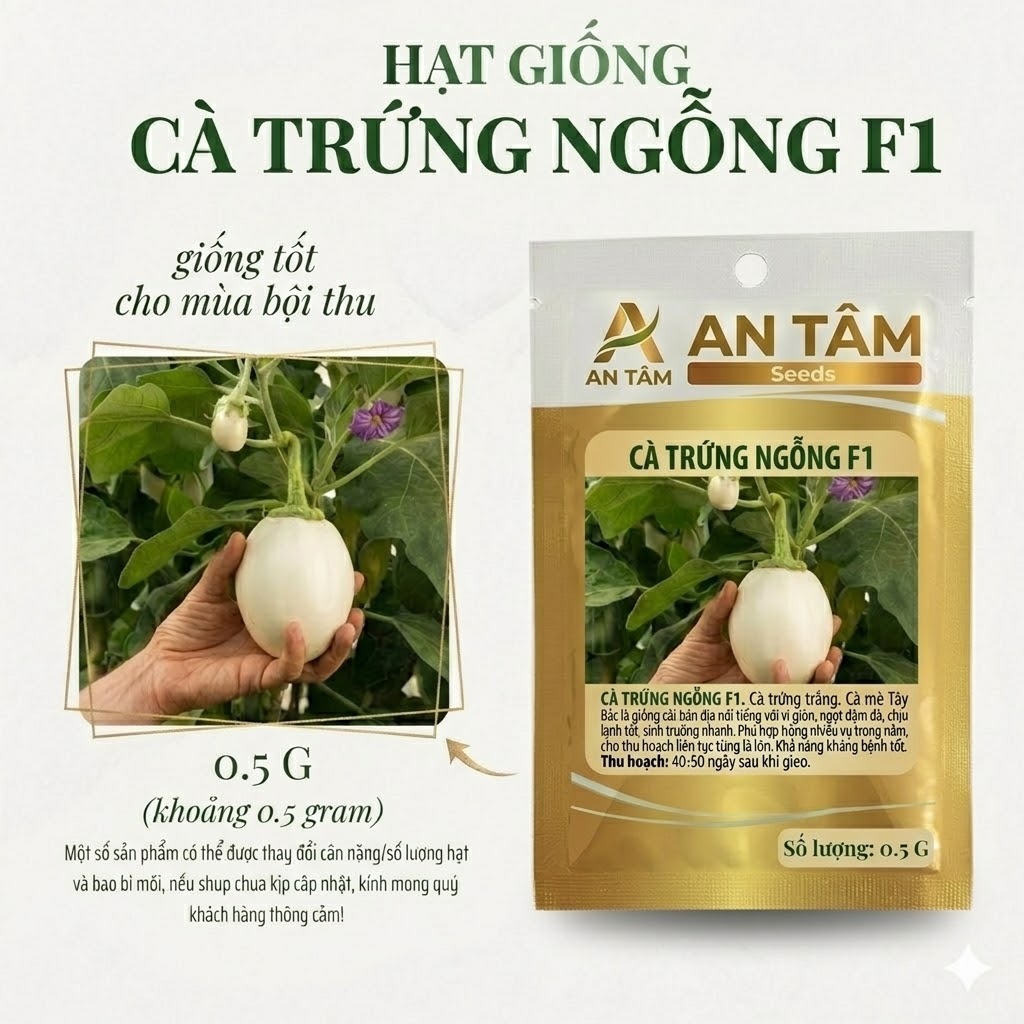 Hạt Giống Cà Pháo Trứng Ngỗng – Quả To, Giòn Ngon, Năng Suất Vượt Trội