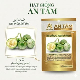 Hạt Giống Cà Pháo trắng, cà pháo xanh, cà tím tròn – Cà Tím F1 Trái To, Sai Quả – Ăn Giòn, Dễ Trồng túi zíp