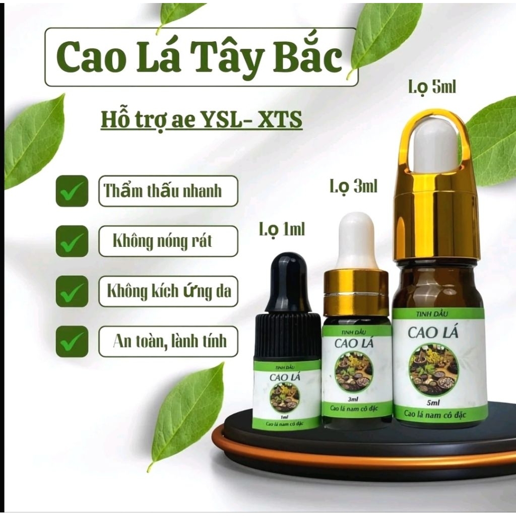 Cao Lá nam Tây Bắc hỗ trợ XTS_YSL an toàn, lầnh tính.