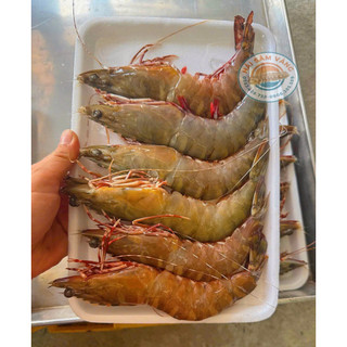 Tôm sú biển thiên nhiên 12-14con/kg (khay 500gram)