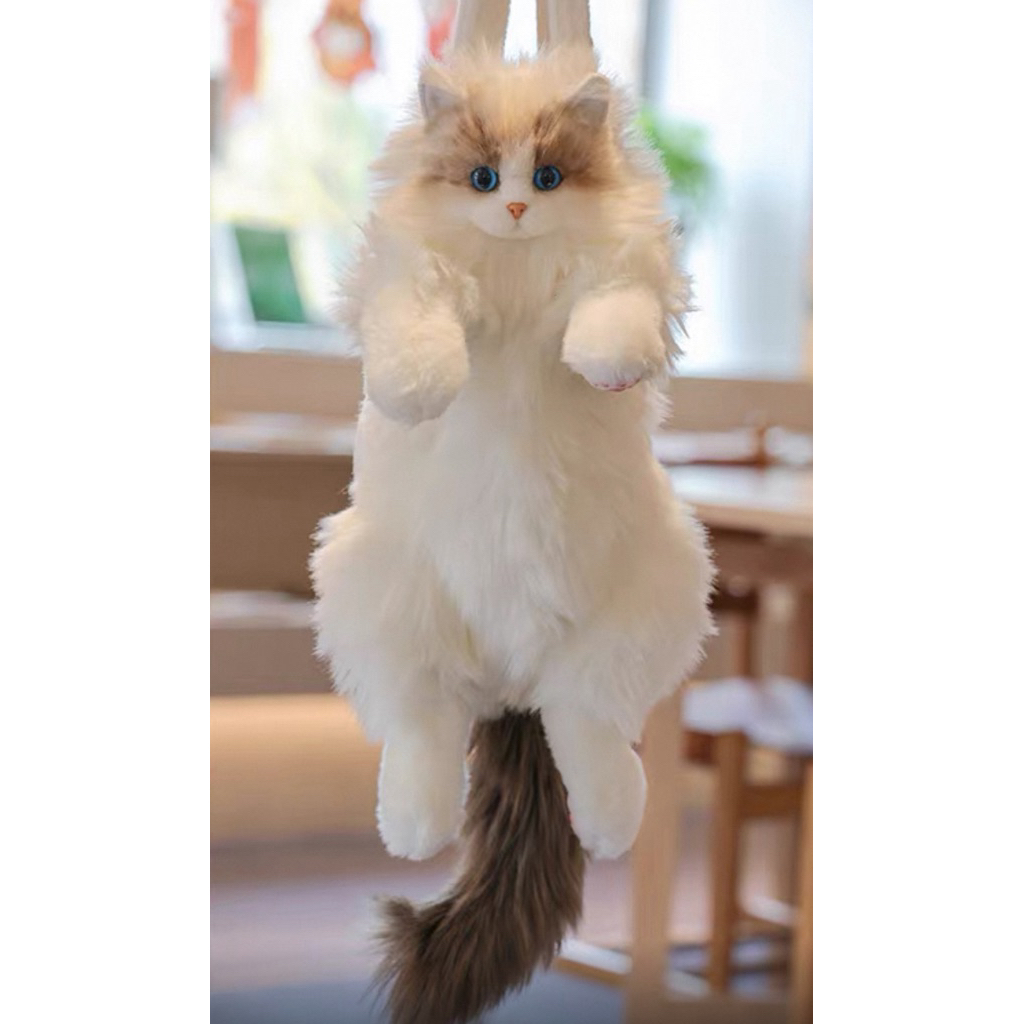 Balo mèo ragdoll giống như mèo thiệt