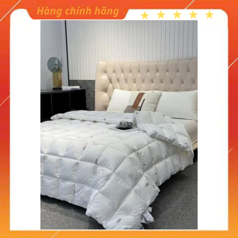RUỘT CHĂN LÔNG VŨ MONCLER PHÁP 200x230cm