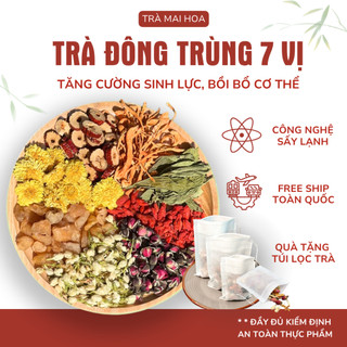 Trà Đông Trùng Hạ Thảo 7 Vị Mai Hoa - Phục Hồi Thể Lực, Tăng Cường Sinh Lý, Khỏe Từ Bên Trong