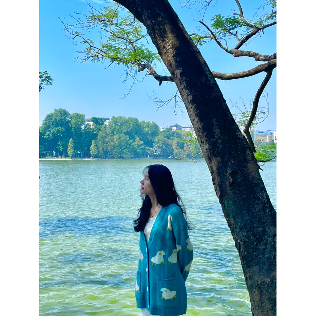 Pass cardigan xanh