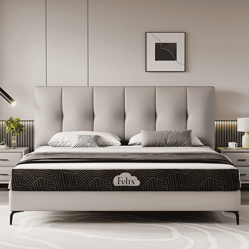 Nệm cao su Felix Support - Độ cứng trợ lực (Cấp độ 2)