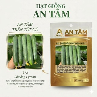 Hạt Giống Dưa Chuột Không Hạt – Ăn Giòn Mát, Dễ Trồng, Năng Suất Cao