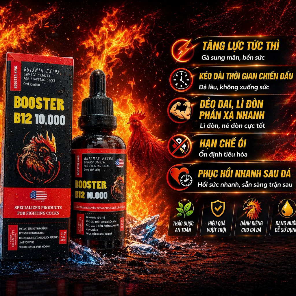B12 10000 USA Hàm Lượng Cao Nuôi Gà Tơ Chế Độ-Gà Lỏn Lẻn Mau Cự